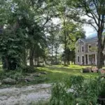 Expert Care, Neatly Done: Our Tree Removal Experience